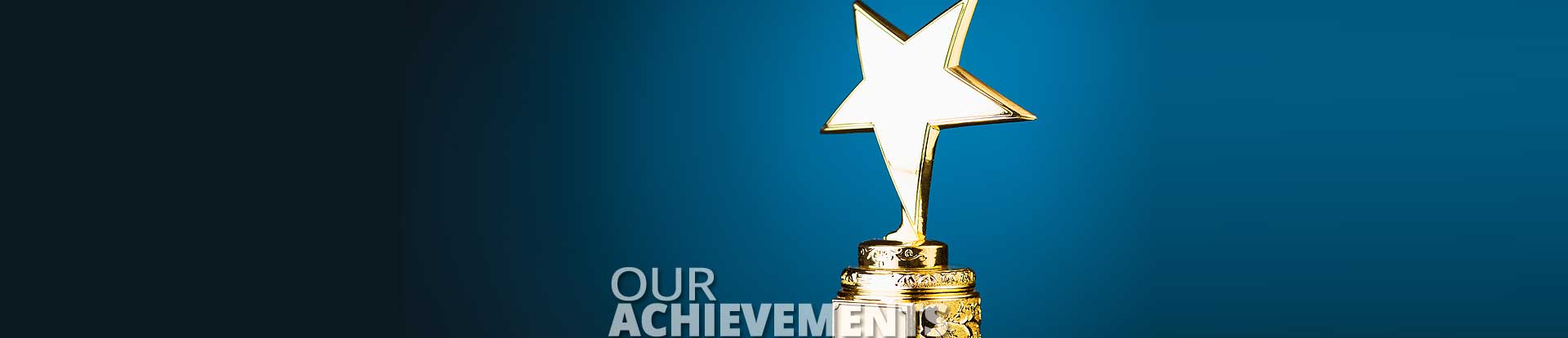 Achievements of Captain Polyplast Ltd.
