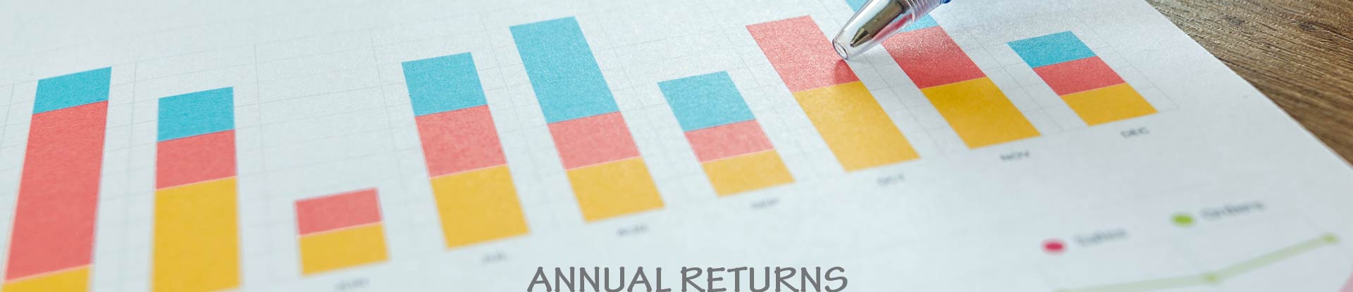 Annual Returns | Captain Polyplast Ltd.