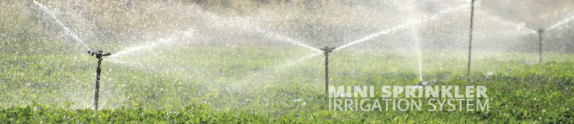 Mini Sprinkler Irrigation System